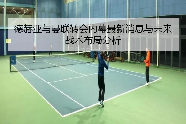 德赫亚与曼联转会内幕最新消息与未来战术布局分析