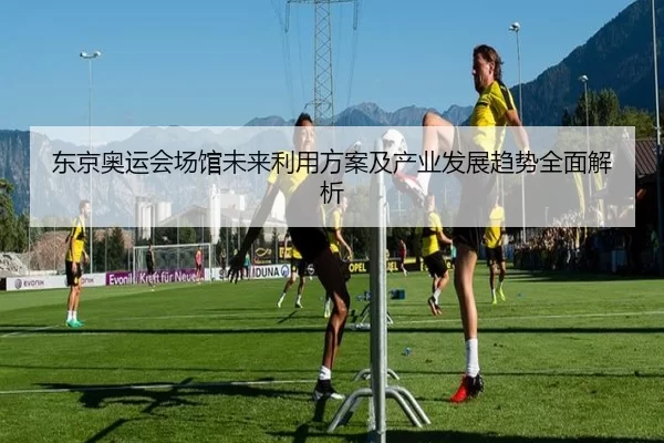 东京奥运会场馆未来利用方案及产业发展趋势全面解析