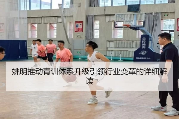 姚明推动青训体系升级引领行业变革的详细解读